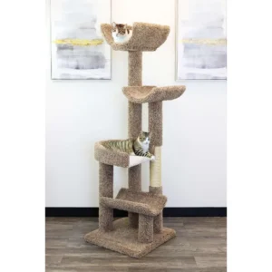 New Cat Condos 190121-Brown Cat Climbing Tree